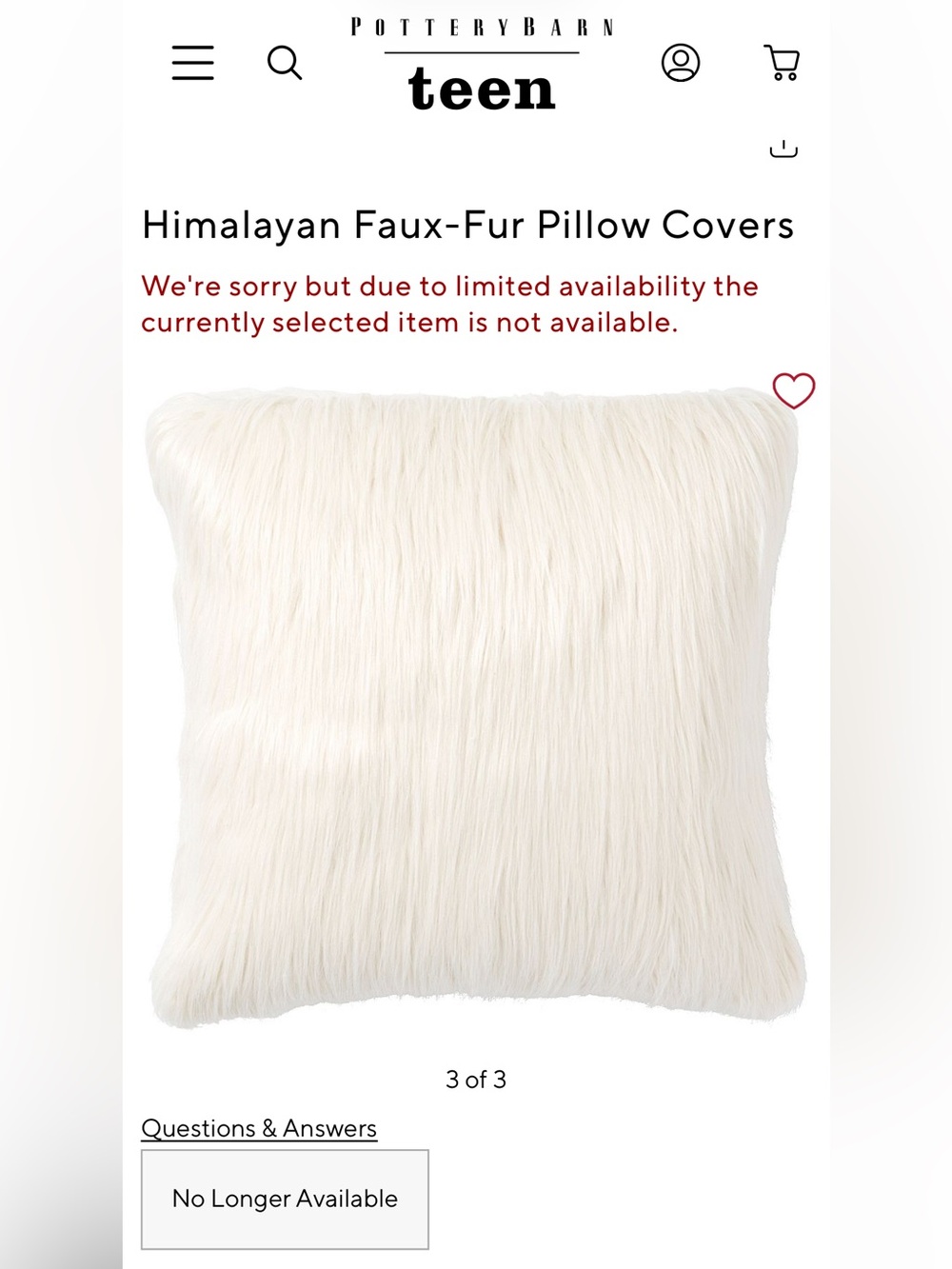 Pottery Barn Pillow